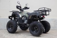 купить Квадроцикл UNIVERSAL Avenger 250 MECHANICS в Москве - фото 