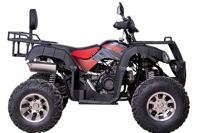 купить Квадроцикл YACOTA Sela 200 Pro в Москве - фото 