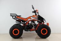 купить Квадроцикл MOTAX ATV T-Rex Super LUX 50 cc в Москве - фото 