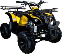купить Квадроцикл AVANTIS Hunter 7 LITE в Москве - фото 