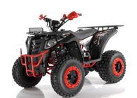 купить Квадроцикл WELS ATV Thunder 200 Evo X в Москве - фото 
