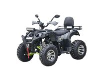 купить Квадроцикл RMOTO LION X 200 в Москве - фото 