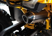 купить Квадроцикл MOTOLAND 125 Wild (2021 Г.) в Москве - фото 