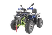 купить Квадроцикл YACOTA Sela 200 Max в Москве - фото 
