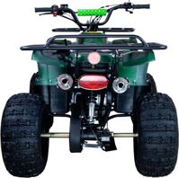купить Квадроцикл RAPTOR ATV150U Classic + 150CC 4Т в Москве - фото 