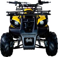 купить Квадроцикл AVANTIS Hunter 7 LITE в Москве - фото 