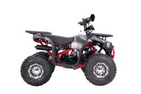 купить Квадроцикл YACOTA Sirius 125 LD в Москве - фото 
