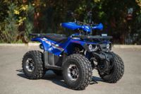 купить Квадроцикл AVANTIS Hunter 8 New Premium в Москве - фото 