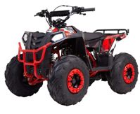 купить Квадроцикл RAPTOR Dux Lux 8 в Москве - фото 