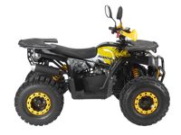 купить Квадроцикл AVANTIS Optima 8 Premium в Москве - фото 