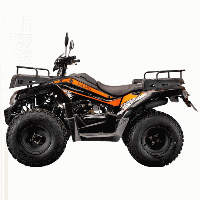 купить Квадроцикл RATO 200 в Москве - фото 