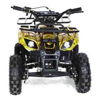 купить Квадроцикл MOTAX ATV Mini Grizlik X-16 в Москве - фото 