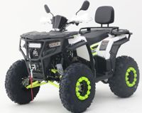 купить Квадроцикл JHTOVON GT Racer Max JM-VA200T в Москве - фото 