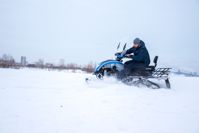 купить Снегоход SHARMAX SN-210 Forester Classic в Москве - фото 