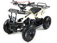 купить Квадроцикл MOTAX ATV Mini Grizlik X-16 в Москве - фото 