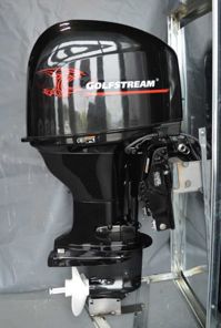купить 4х-тактный лодочный мотор GOLFSTREAM F60FEL-T EFI в Москве - фото 