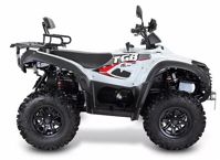 купить Квадроцикл TGB Blade 500 SL (ПСМ) в Москве - фото 