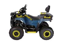 купить Квадроцикл AVANTIS Ray 200 Lux в Москве - фото 