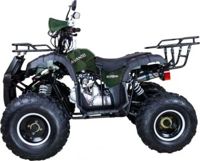 купить Квадроцикл AVANTIS Hunter 8+ 125 2018 в Москве - фото 