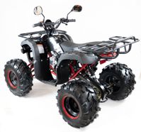 купить Квадроцикл MOTAX ATV Grizlik-8 125 в Москве - фото 