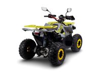 купить Квадроцикл AVANTIS Ray 8 Lux в Москве - фото 