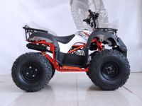 купить Квадроцикл KAYO Mini Bull в Москве - фото 