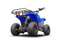 купить Квадроцикл TIGER 150 Universal RX в Москве - фото 