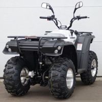 купить Квадроцикл LINHAI-YAMAHA M200 в Москве - фото 