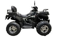 купить Квадроцикл RATO 200 LD Premium GT в Москве - фото 