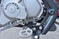 купить Мотоцикл REGULMOTO Seven Medalist Pro 19/16 PITBIKE в Москве - фото 