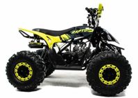 купить Квадроцикл MOTOLAND 125 Raptor в Москве - фото 