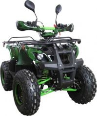 купить Квадроцикл AVANTIS Hunter 8M+ 125 2018 в Москве - фото 