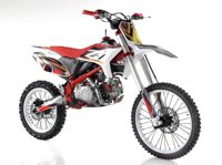 купить Мотоцикл WELS RT 140 19/16 PITBIKE в Москве - фото 