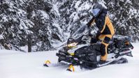 купить Снегоход BRP Ski Doo Skandic LE 24" 900 Ace в Москве - фото 