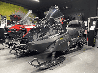 купить Снегоход РУССКАЯ МЕХАНИКА TAYGA PATRUL 800 SWT Б/У в Москве - фото 