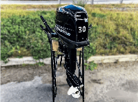 купить 2х-тактный лодочный мотор ГЛАДИАТОР G30FHS в Москве - фото 