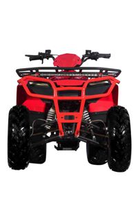 купить Квадроцикл SHARMAX Luxe 300  (2024) в Москве - фото 