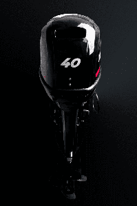 купить 2х-тактный лодочный мотор YAMER 40 FFES-T в Москве - фото 