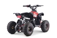 купить Квадроцикл YACOTA Renegade Mini в Москве - фото 