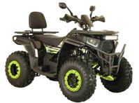 купить Квадроцикл ATV ARMIS 250 в Москве - фото 