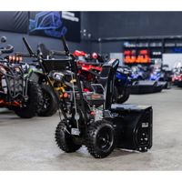 купить Снегоуборщик FLAIZER 50 E Economy в Москве - фото 