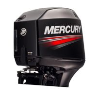 купить 2х-тактный лодочный мотор MERCURY ME 50 EO (TMC) в Москве - фото 