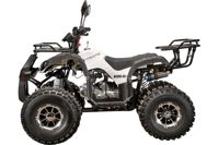 купить Квадроцикл YACOTA Kids 8 LD в Москве - фото 