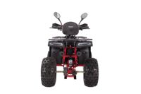 купить Квадроцикл YACOTA Sirius 125 в Москве - фото 