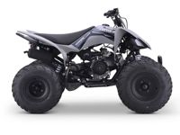 купить Квадроцикл SHARMAX Raizer Race Cup 250 в Москве - фото 