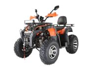 купить Квадроцикл YACOTA Sela 200 Max в Москве - фото 