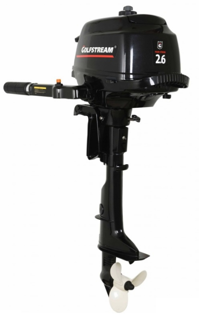купить 4х-тактный лодочный мотор GOLFSTREAM F 2.6 BMS в Москве - фото 