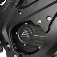 купить Электромотоцикл E RIDE Pro-SS 19 в Москве - фото 