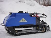 купить Мотобуксировщик РАЙДА 087L02 9 л.с. в Москве - фото 