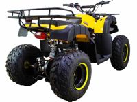 купить Квадроцикл ATV Classic 200 в Москве - фото 